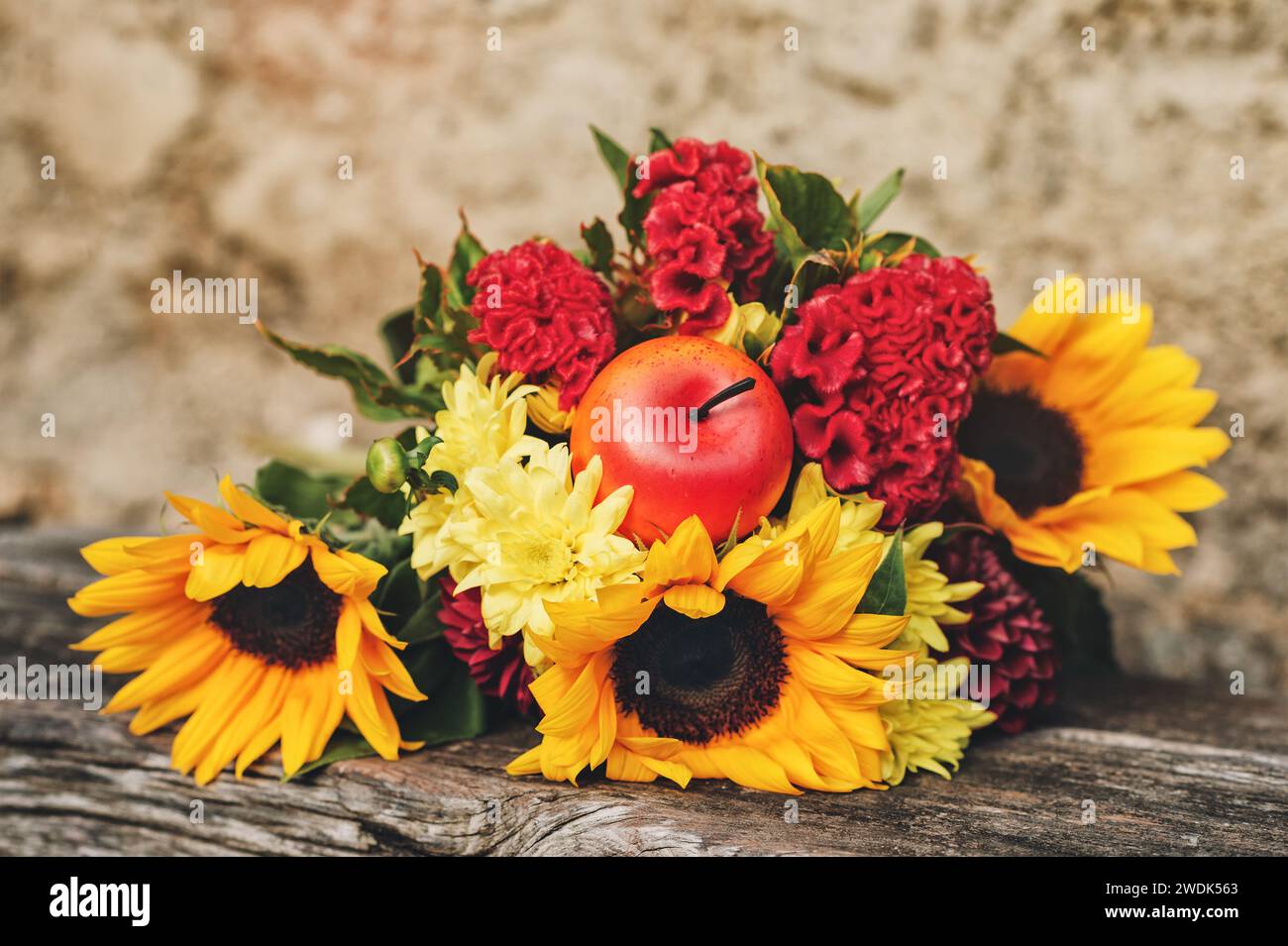 Bouquet d'automne de tournesols et de cockspeignes rouges Banque D'Images