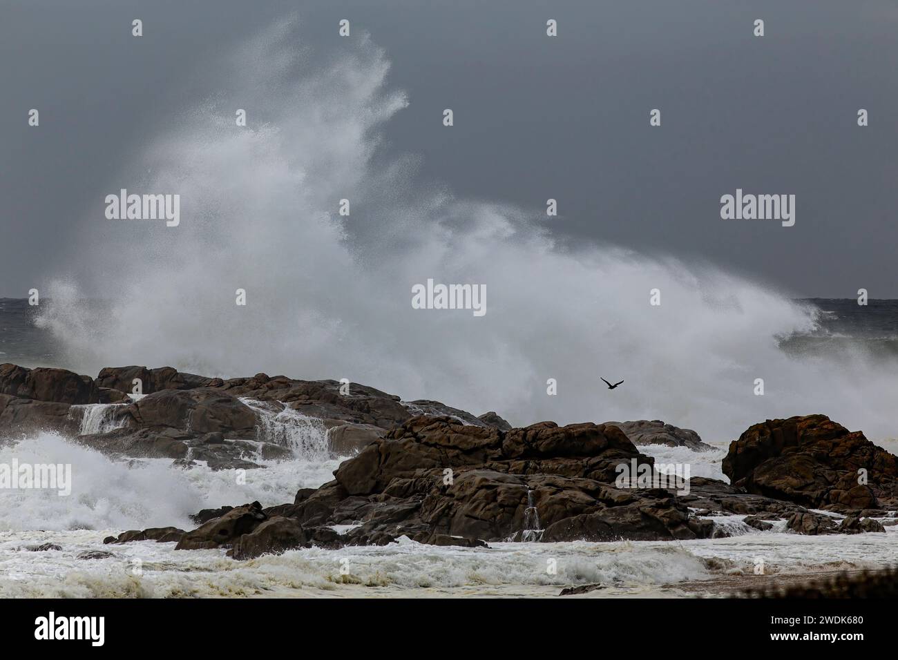 Éclaboussures de vagues orageuses spectaculaires avec des rafales de vent, côte nord du portugal. Banque D'Images