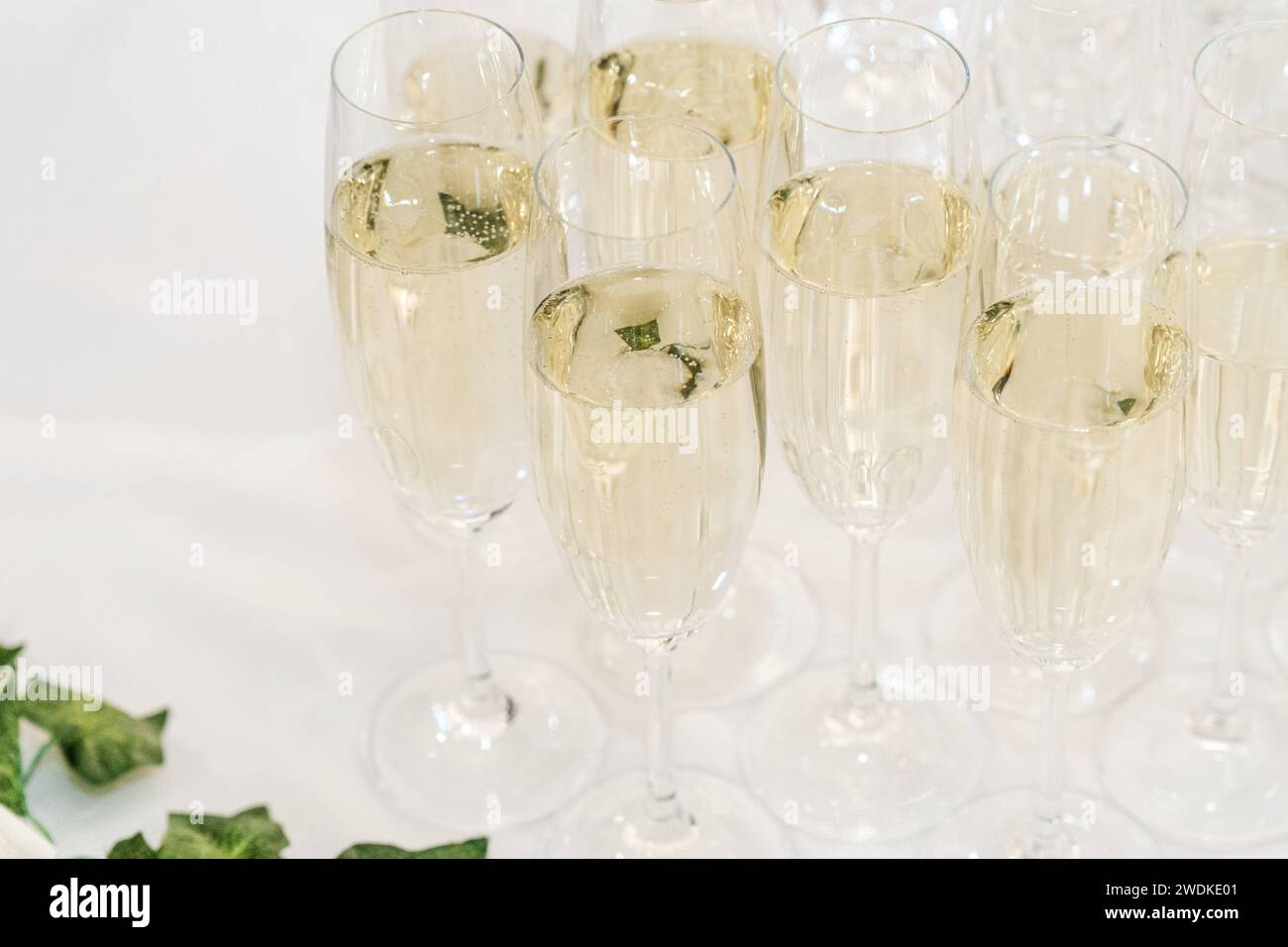Augsbourg, Bavière, Allemagne 19 janvier 2024 : verres à champagne remplis de vin mousseux sur une nappe blanche lors d'un événement *** Sektgläser BEI einer Veranstaltung gefüllt mit Sekt auf Weißer Tischdecke Banque D'Images