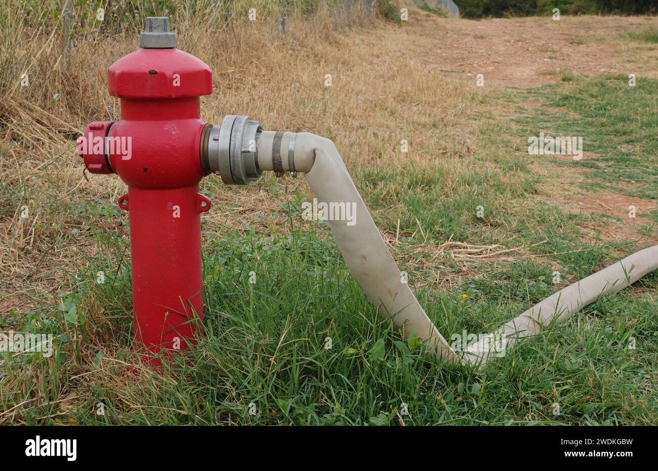 Bouche d'incendie rouge avec tuyau et végétation d'été sèche. Banque D'Images