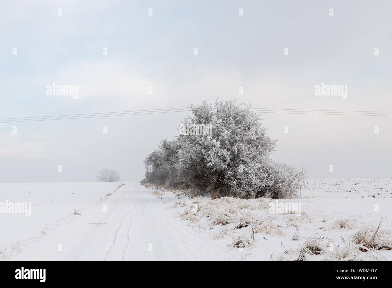 Landschaft BEI Grüningen in Hessen an einem kalten und bedeckten Wintertag im Januar 2024 Banque D'Images