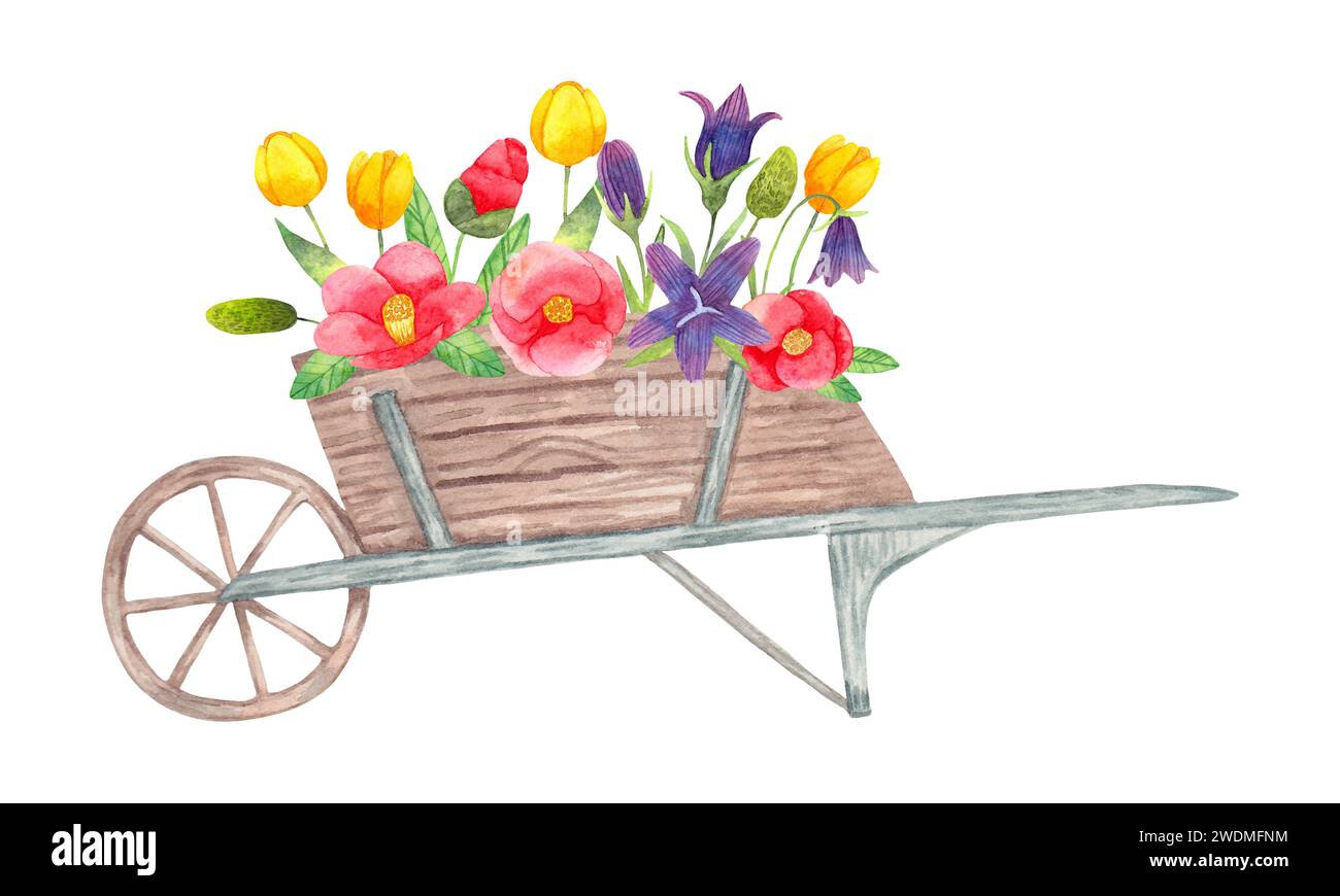 Chariot en bois avec des fleurs du Garden.Spring composition. Aquarelle simple illustration botanique.Décoration saisonnière de vacances avec tulipes, camélia Banque D'Images