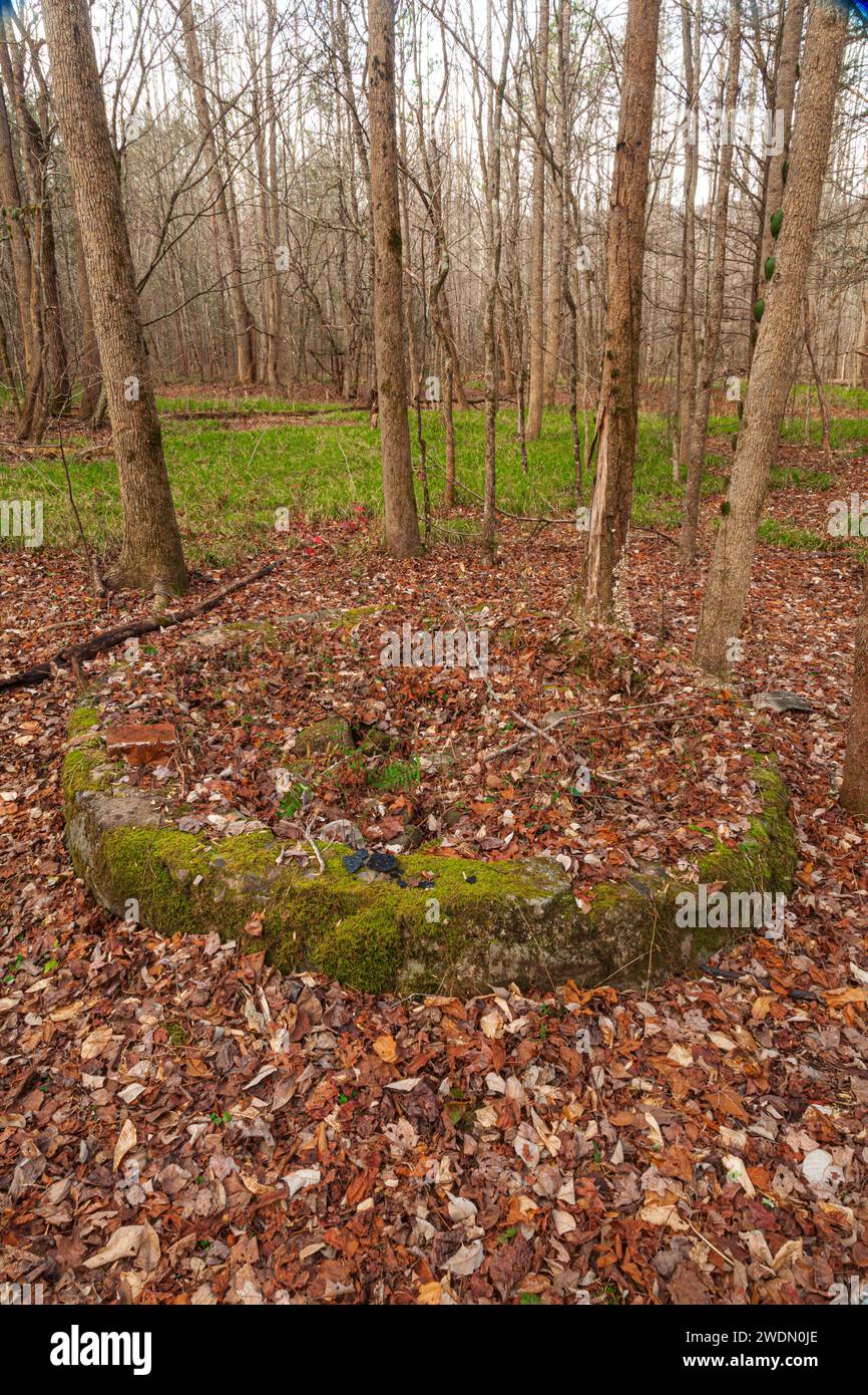 Old Sugarlands Trail, zone de camp CCC Banque D'Images