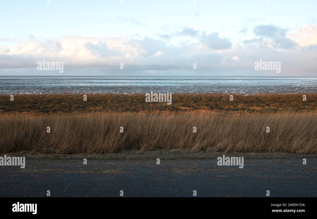 Paysage large néerlandais avec digue et ciel d'hiver, Waddensea, plein cadre Banque D'Images