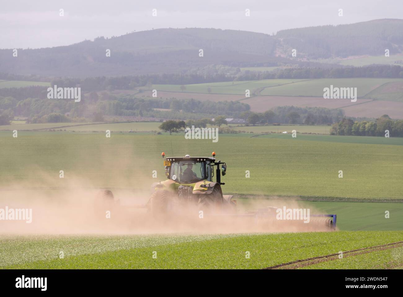 Nuages de poussière suivant un tracteur Claas avec des rouleaux Dalbo sur des terres agricoles dans l'Aberdeenshire au printemps Banque D'Images