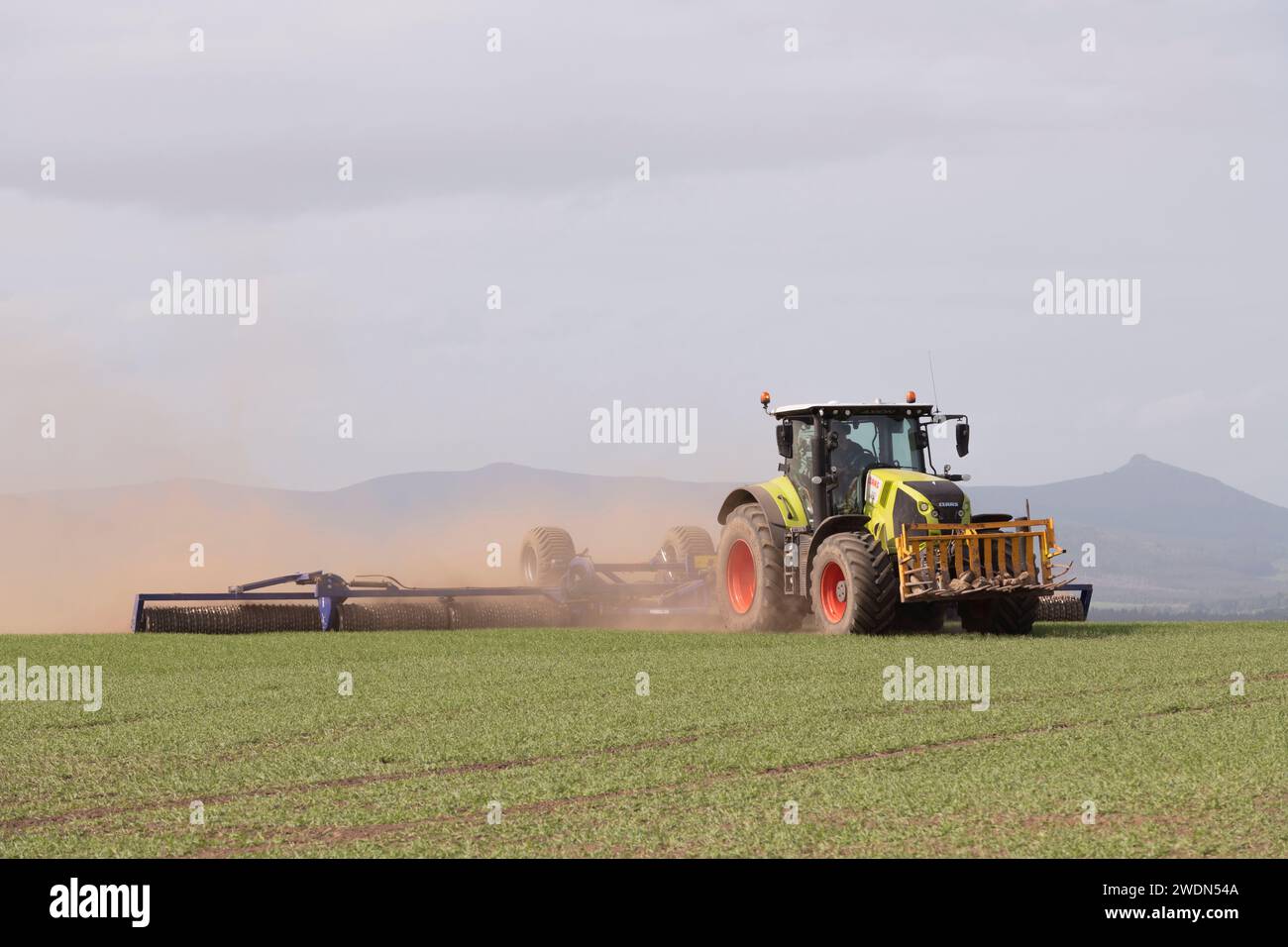 Une récolte d'orge de printemps roulée avec des rouleaux Dalbo Powerroll dans un champ dans l'Aberdeenshire avec une vue vers Bennachie Banque D'Images
