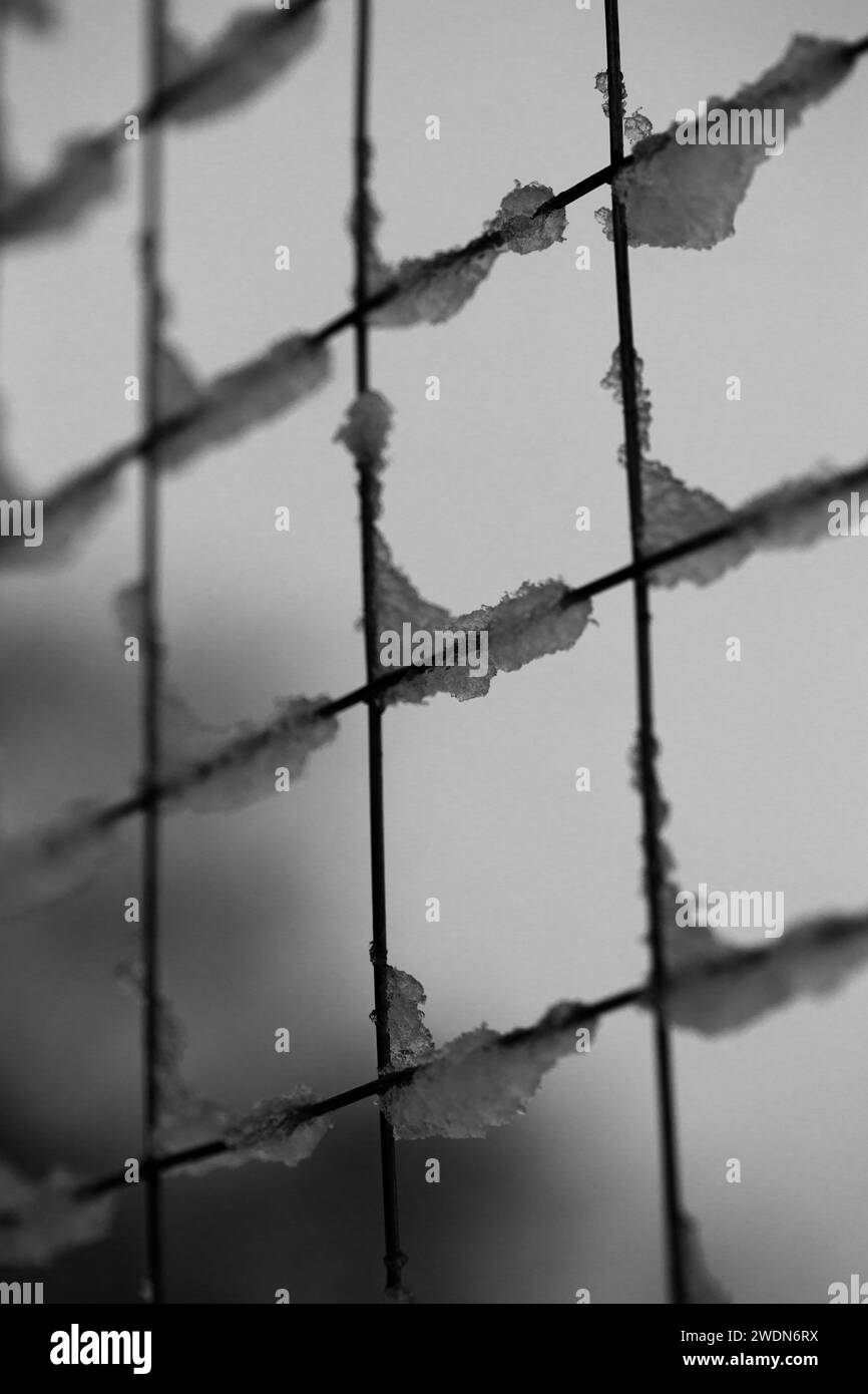 fond abstrait noir et blanc d'escrime avec de la neige. Banque D'Images