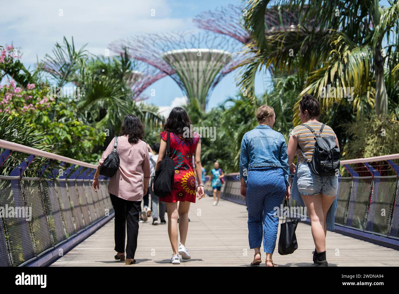 Ville de Singapour, Singapour-08 septembre,2019: Les touristes visitent les jardins près de la baie un parc naturel dans la ville de Singapour. Banque D'Images