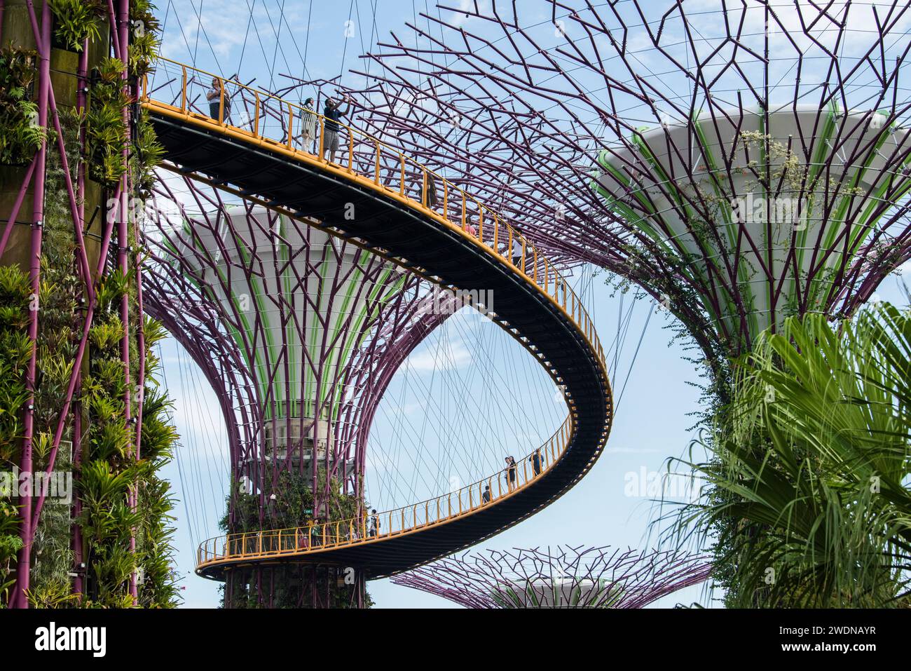 Ville de Singapour, Singapour-08 septembre,2019: Les touristes visitent les jardins près de la baie un parc naturel dans la ville de Singapour. Banque D'Images