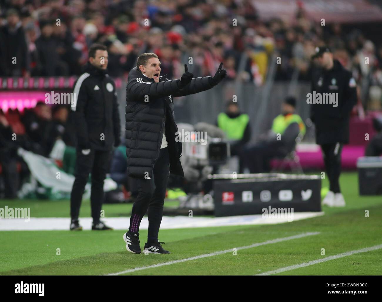 München, Deutschland 21. Janvier 2024 : Fussball, Herren, Bundesliga, saison 2023/2024, FC Bayern München - SV Werder Bremen, Allianz Arena Anthony Barry, Co-Trainer (FC Bayern München) streckt beide arme aus, aufgebracht, rufen, schreien, Anweisung, les règlements Einzelaktion, Freisteller, Ganzkörperaufnahme DFB, DFL interdisent toute utilisation de photographies comme séquences d'images et/ou quasi-vidéo Banque D'Images