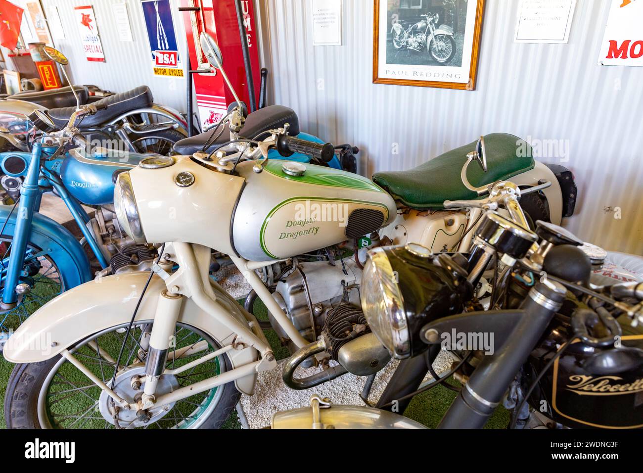 Douglas Dragonfly moto aux côtés de BSA et Velocette british Motorcycles, Robert Stein Vineyard Motorcycle Museum en Australie, 2024 Banque D'Images