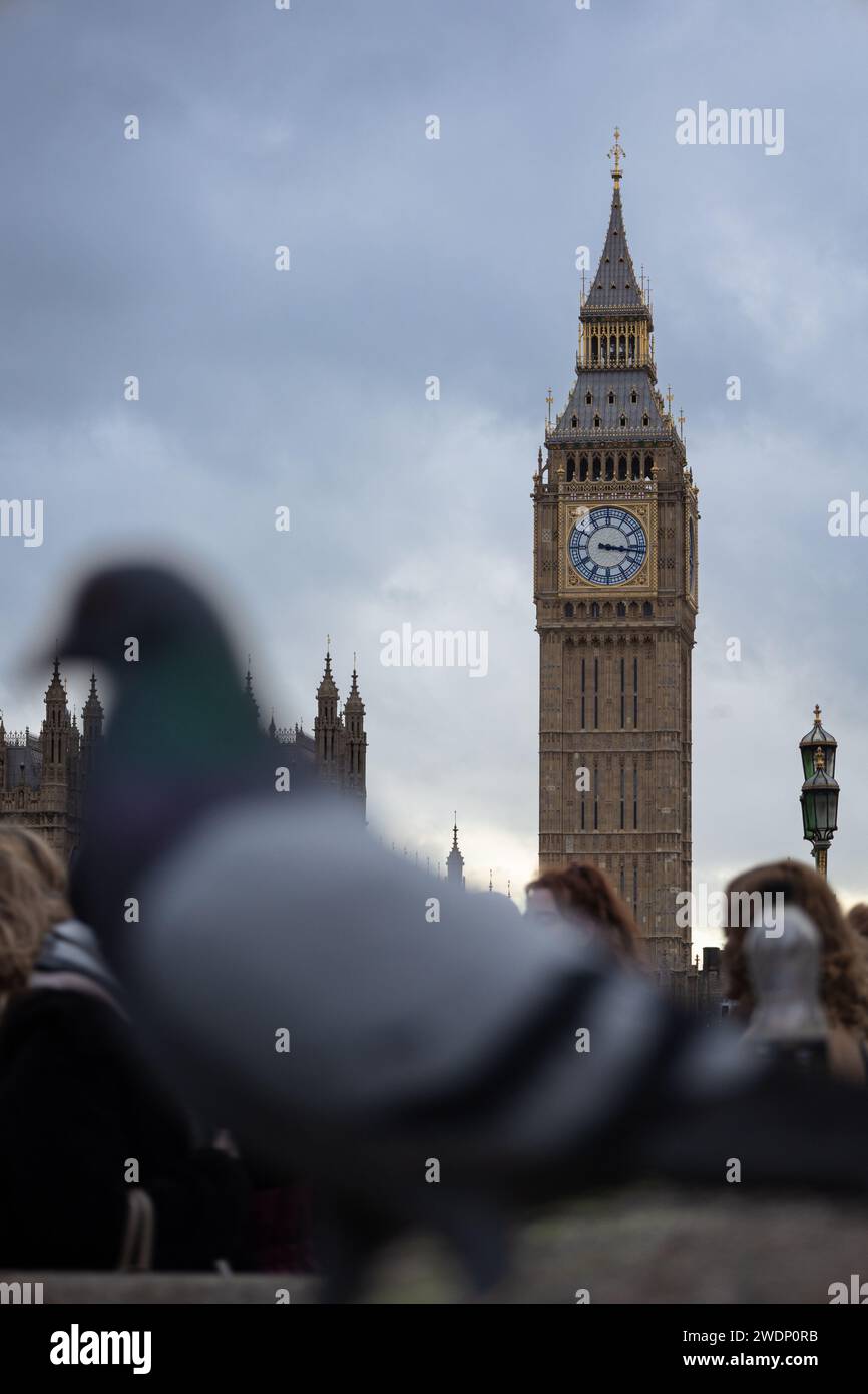 Un pigeon flou devant Big Ben à Londres, en Angleterre Banque D'Images