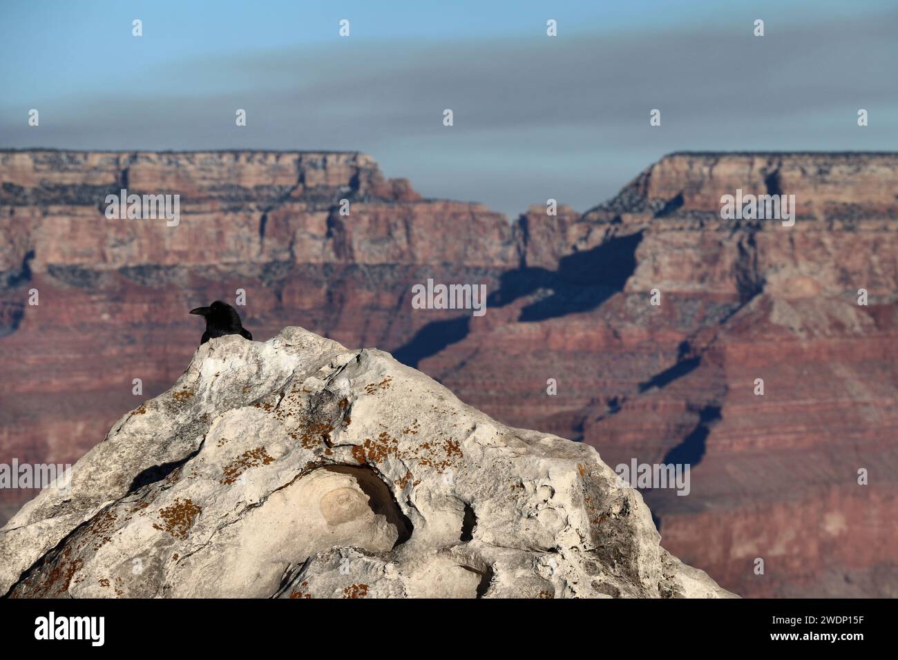 Perdu dans le Grand Canyon Banque D'Images