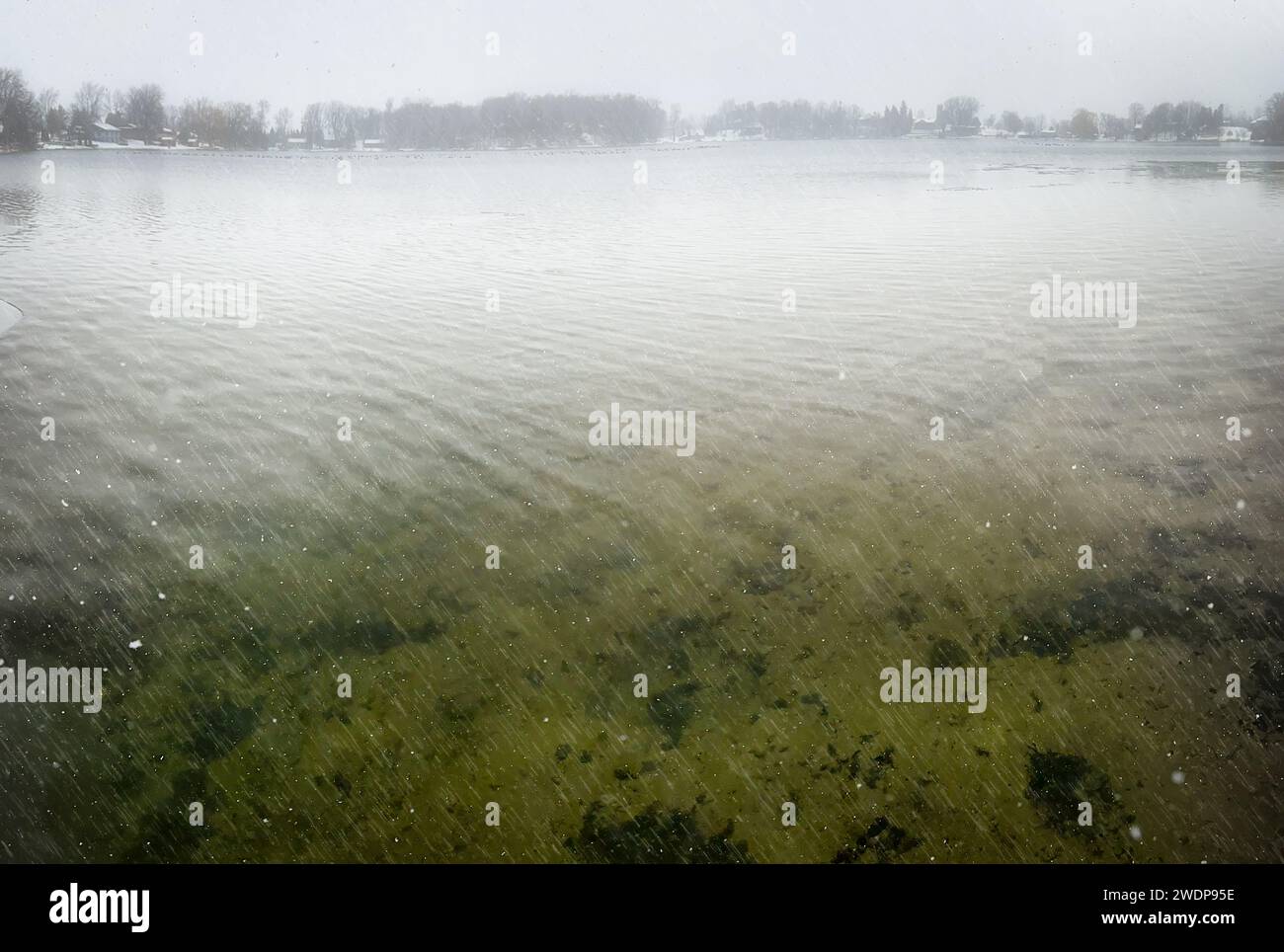 Vue au fond du lac English près de Manitowoc, Wisconsin, pendant une tempête de neige en janvier. Banque D'Images