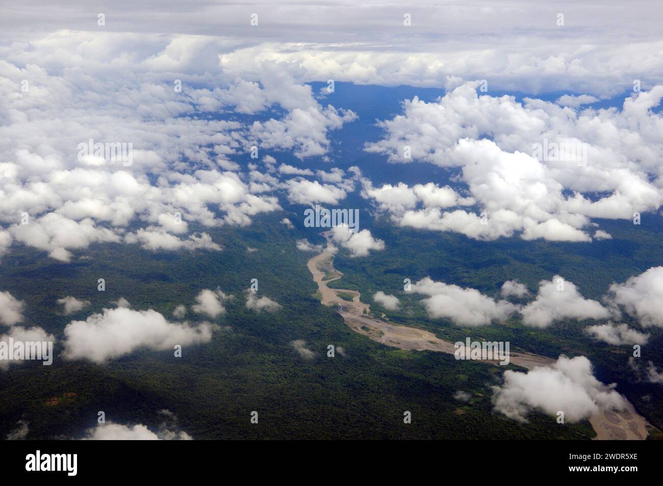 Amérique du Sud, Amazonie, Équateur, Coca, fleuve Napo Banque D'Images