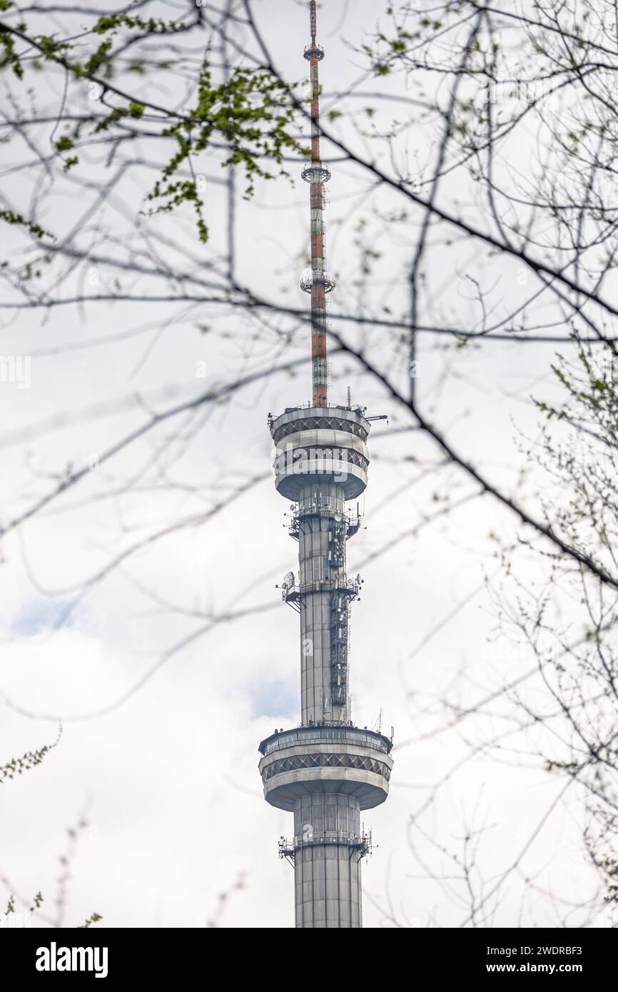 vue de la tour de télévision à travers les branches des arbres. structure antenne-mât en forme de tour sur laquelle sont montées des antennes pour la transmission de télévision par radio Banque D'Images