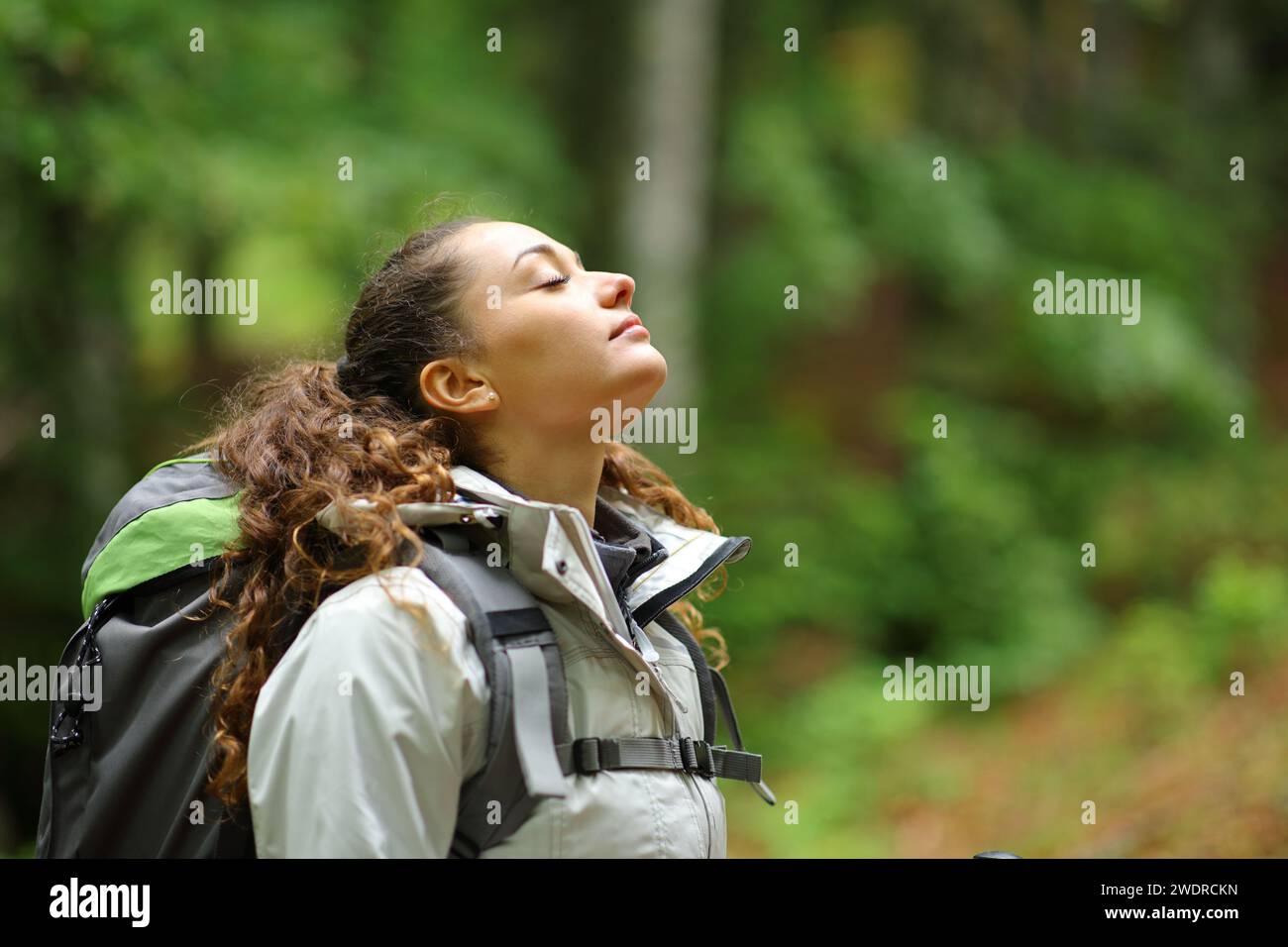 Profil d'un randonneur respirant l'air frais dans une forêt Banque D'Images