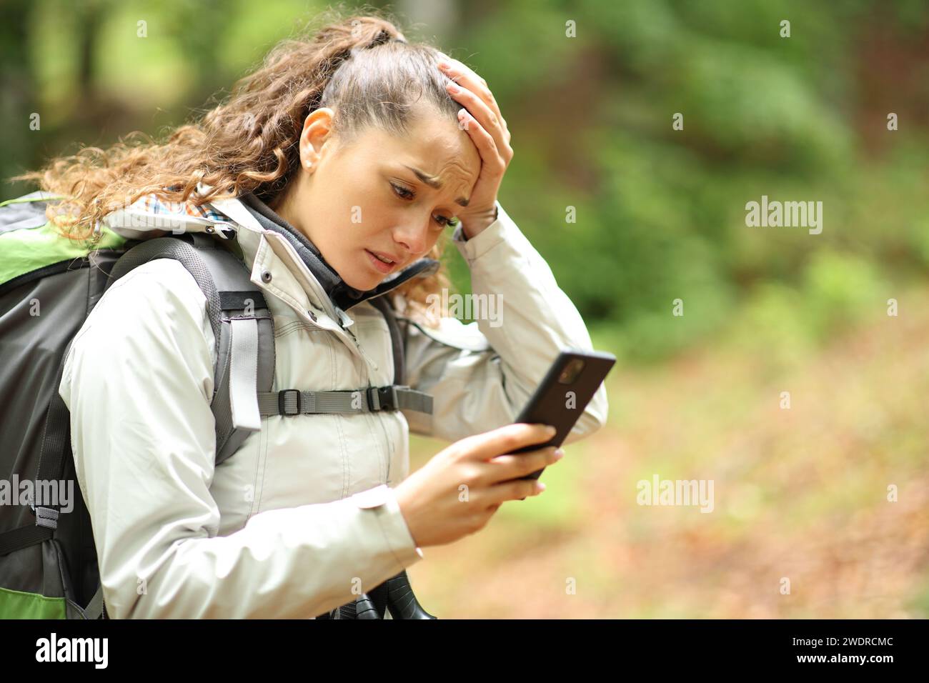 Randonneur perdu se plaignant de vérifier son téléphone portable marchant dans une forêt Banque D'Images