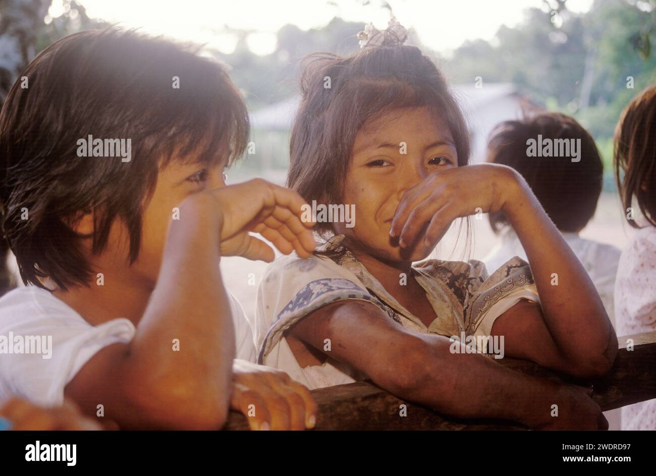 Filles autochtones, Amazonas Banque D'Images