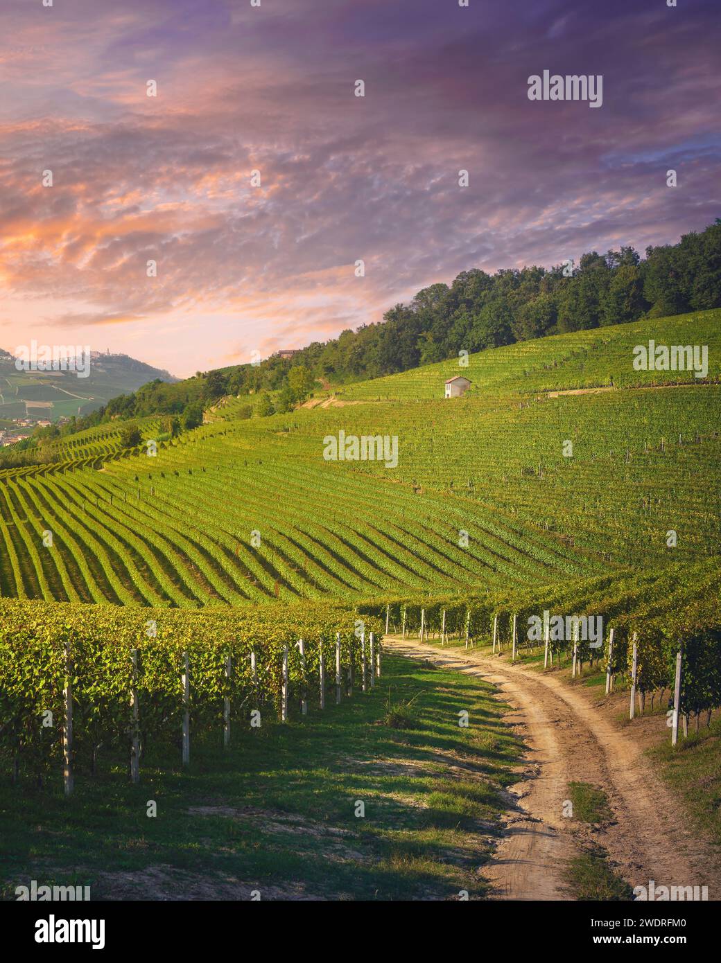 Vue sur les vignobles Langhe au coucher du soleil, les villages de Barolo et la Morra en arrière-plan, site du patrimoine mondial de l'UNESCO, région du Piémont. Italie, Europe. Banque D'Images