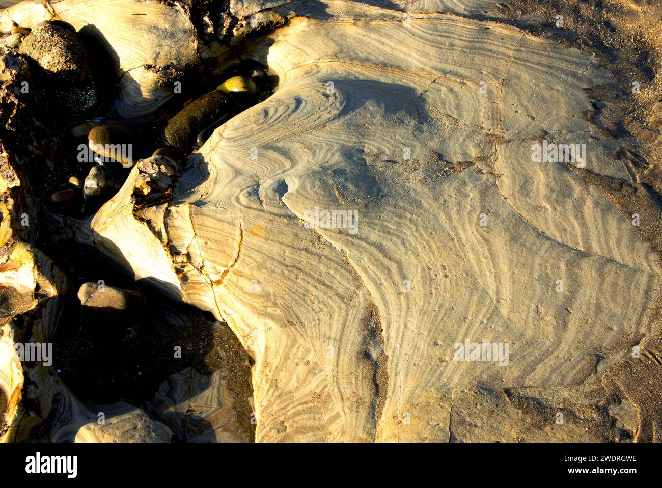 De fines couches de grès du Jurassique ont été érodées sur la plate-forme de coupe des vagues dans la baie Sud à Scarborough. Les intempéries ont laissé un abstrait. Banque D'Images