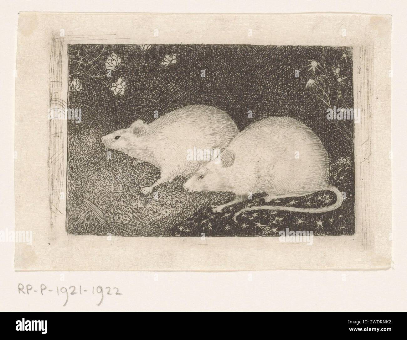 Deux souris, Jan Mankes, 1916 papier d'impression gravure rongeurs : souris Banque D'Images