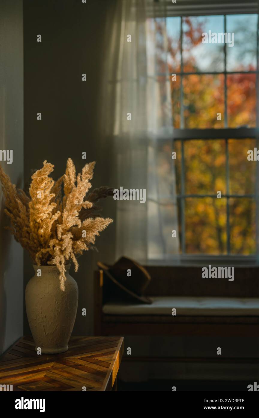 Bouquet d'herbe Pampas dans un vase en plâtre près de la scène de fenêtre d'automne Banque D'Images