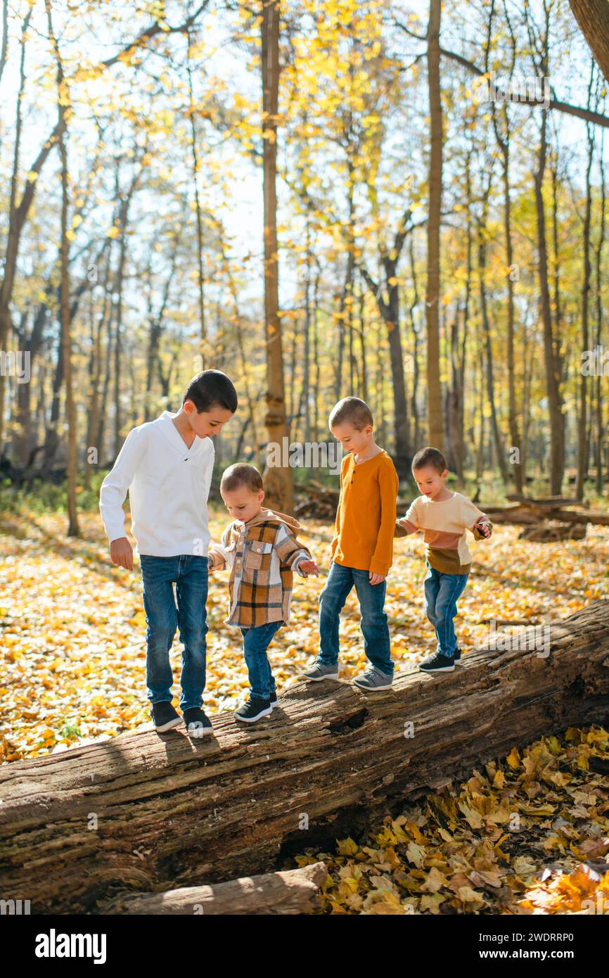 Frères marchant sur une bûche dans la forêt par une journée ensoleillée d'automne Banque D'Images