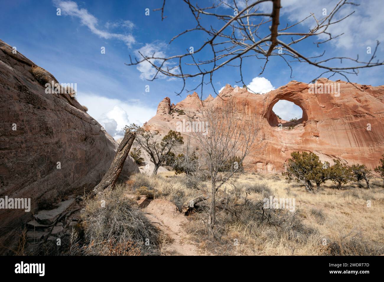 Formation de Window Rock sur la nation Navajo Banque D'Images