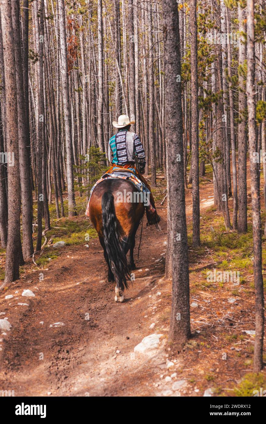 Cow-boy et son cheval partent pour une balade à cheval dans la montagne du Wyoming Banque D'Images