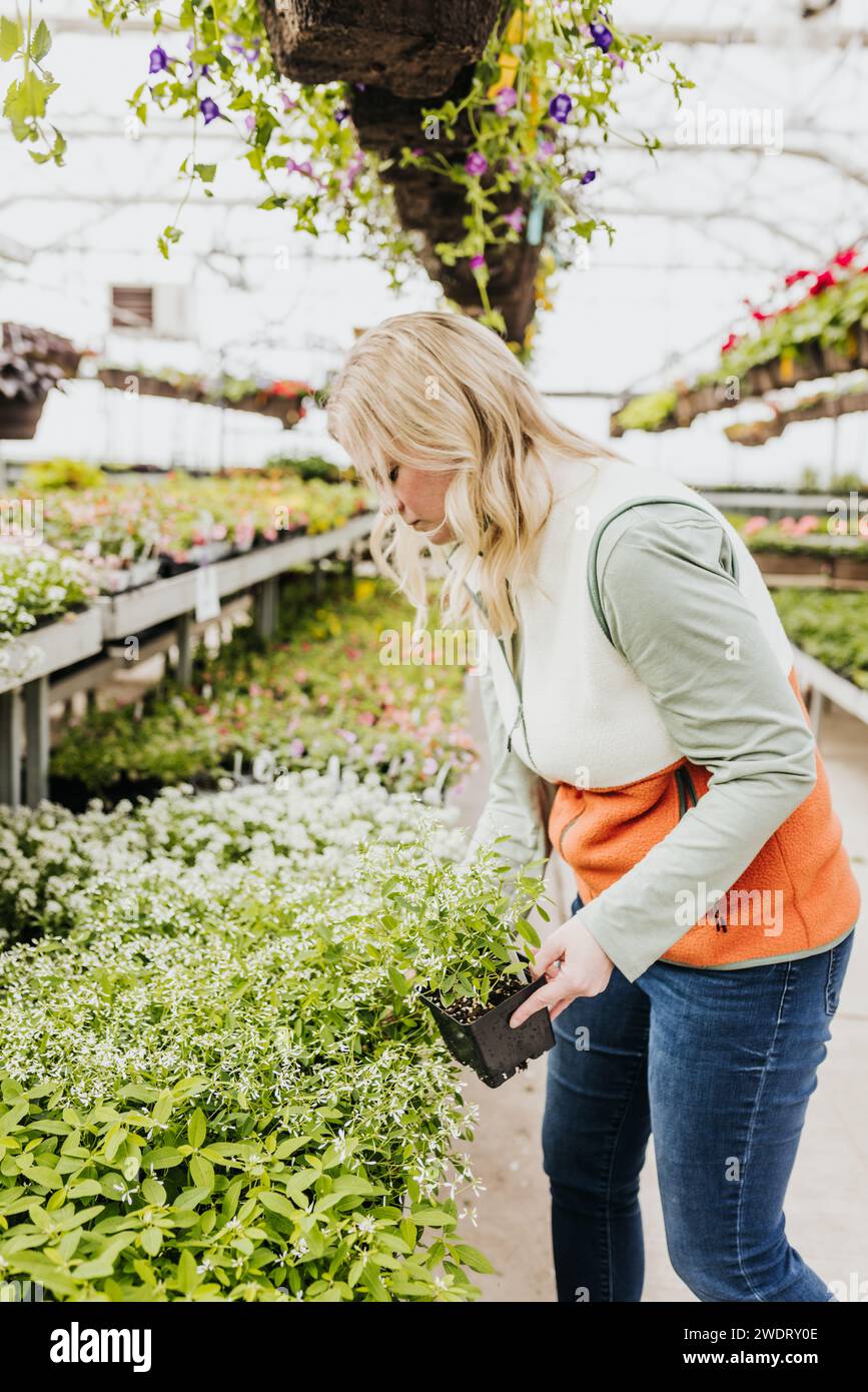 Femme attrape des fleurs tout en faisant des achats à la serre locale Banque D'Images