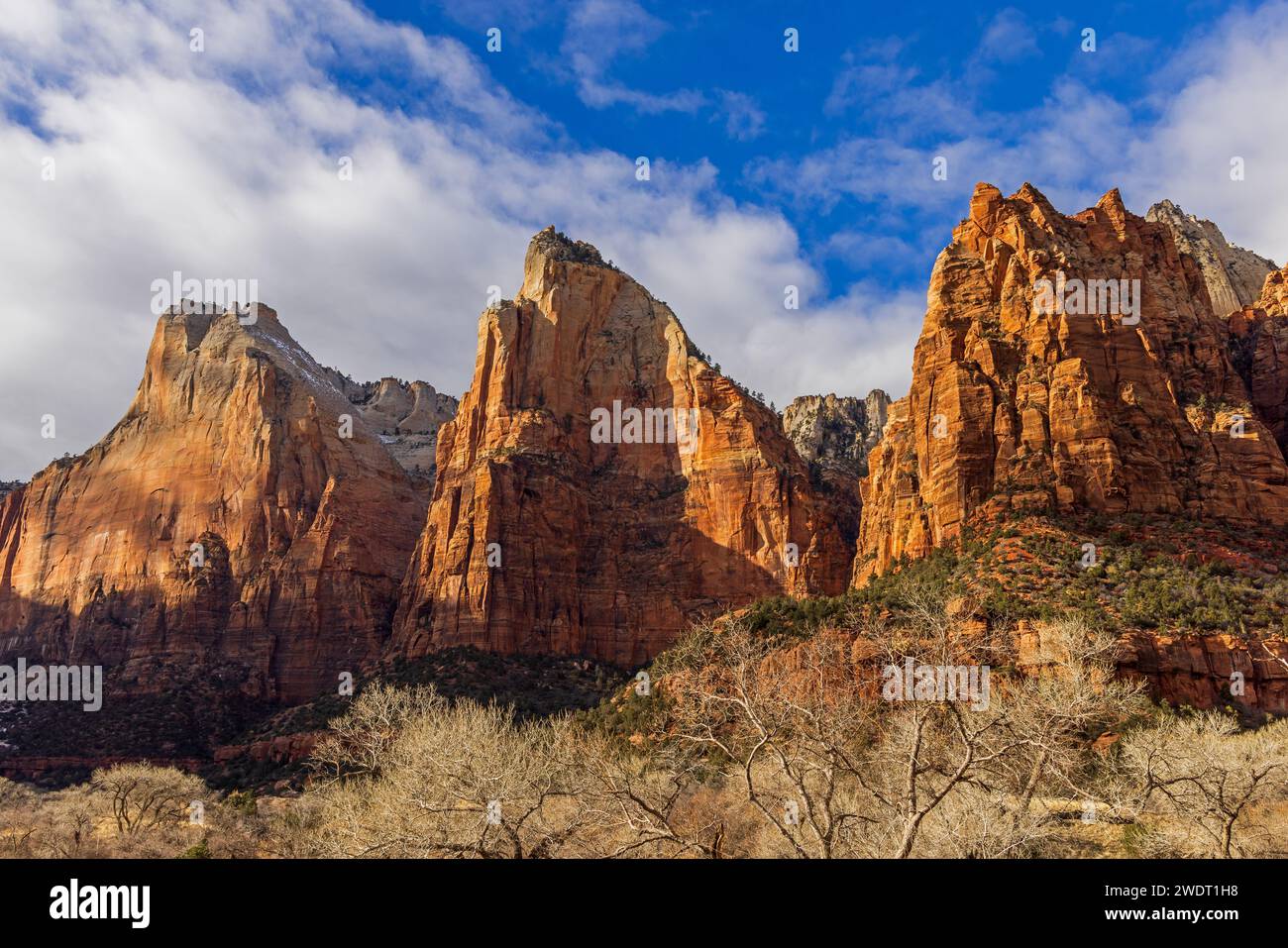 Une formation frappante appelée Cour des Patriarches le long de Zion Canyon Scenic Drive, parc national de Zion, Springdale, comté de Washington, Utah, ÉTATS-UNIS. Banque D'Images