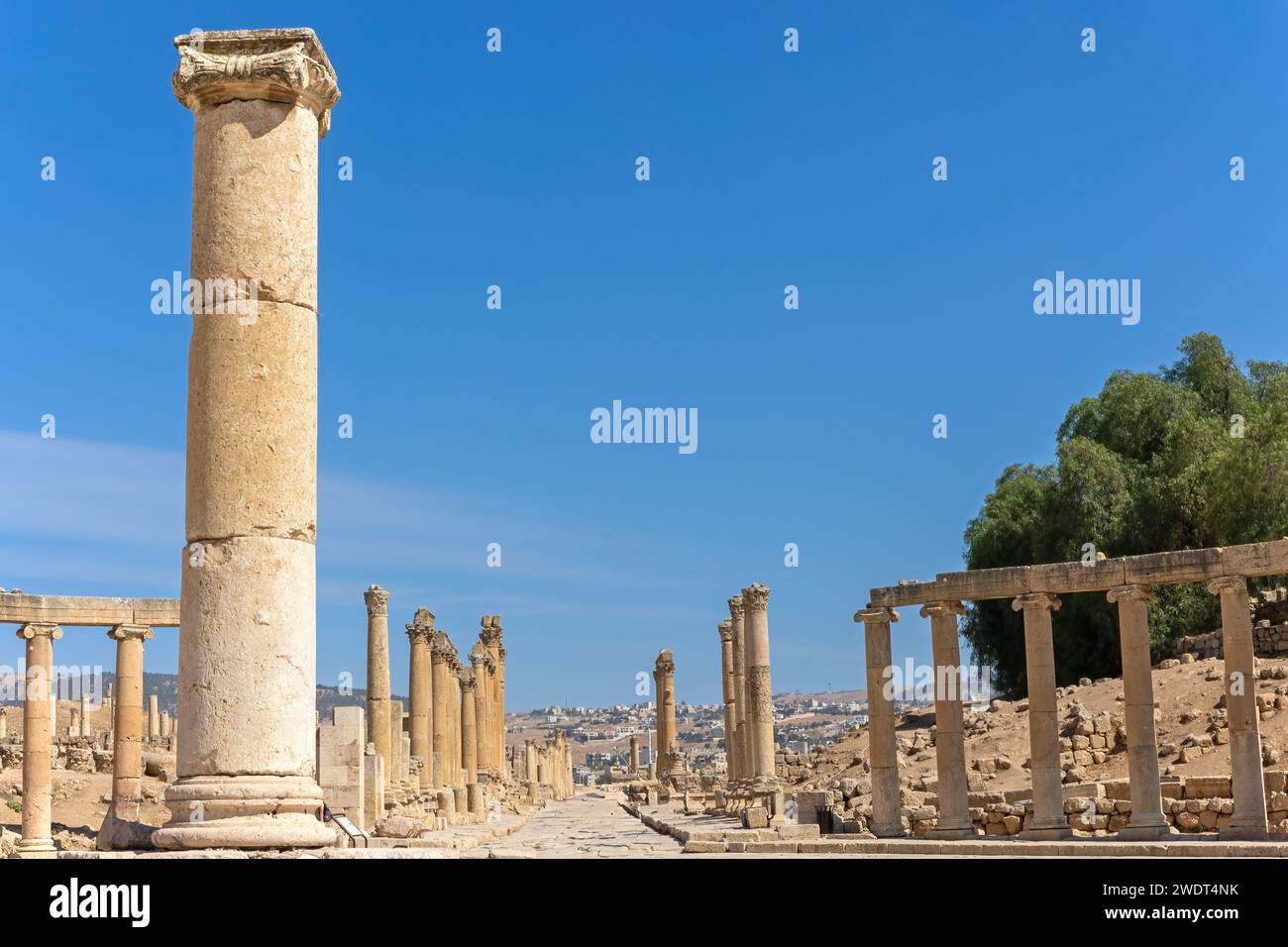 Vue du Cardo aux ruines de Jerash, Jordanie. Banque D'Images