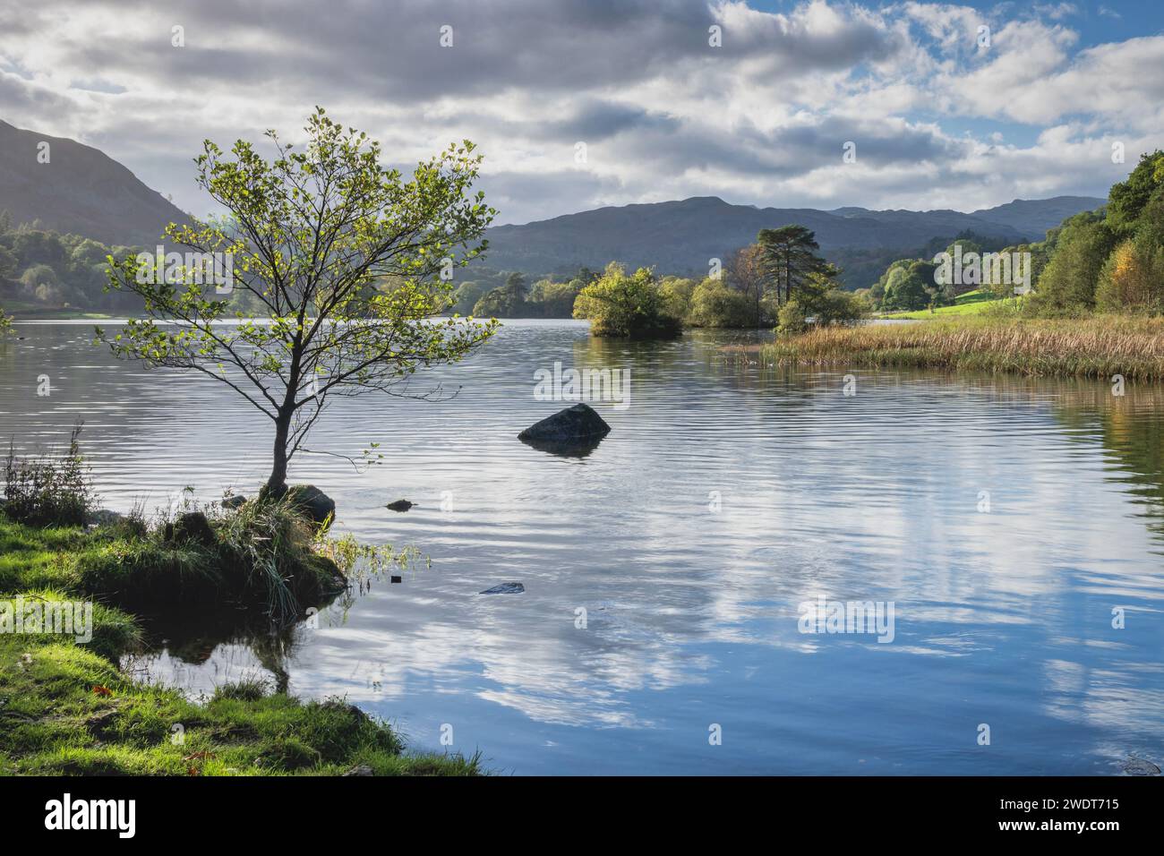 Au début de l'automne, à Rydal Water dans le parc national Lake District, site du patrimoine mondial de l'UNESCO, Cumbria, Angleterre, Royaume-Uni, Europe Banque D'Images