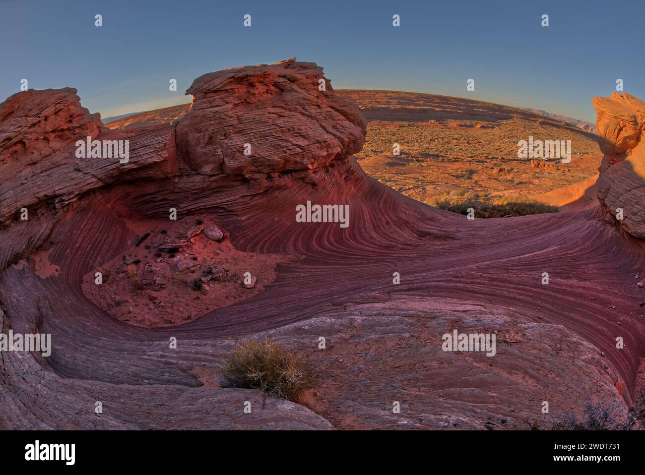 La crête rocheuse ouest de la New Wave le long du Beehive Trail dans la zone de loisirs de Glen Canyon près de page, Arizona, États-Unis d'Amérique, AME du Nord Banque D'Images