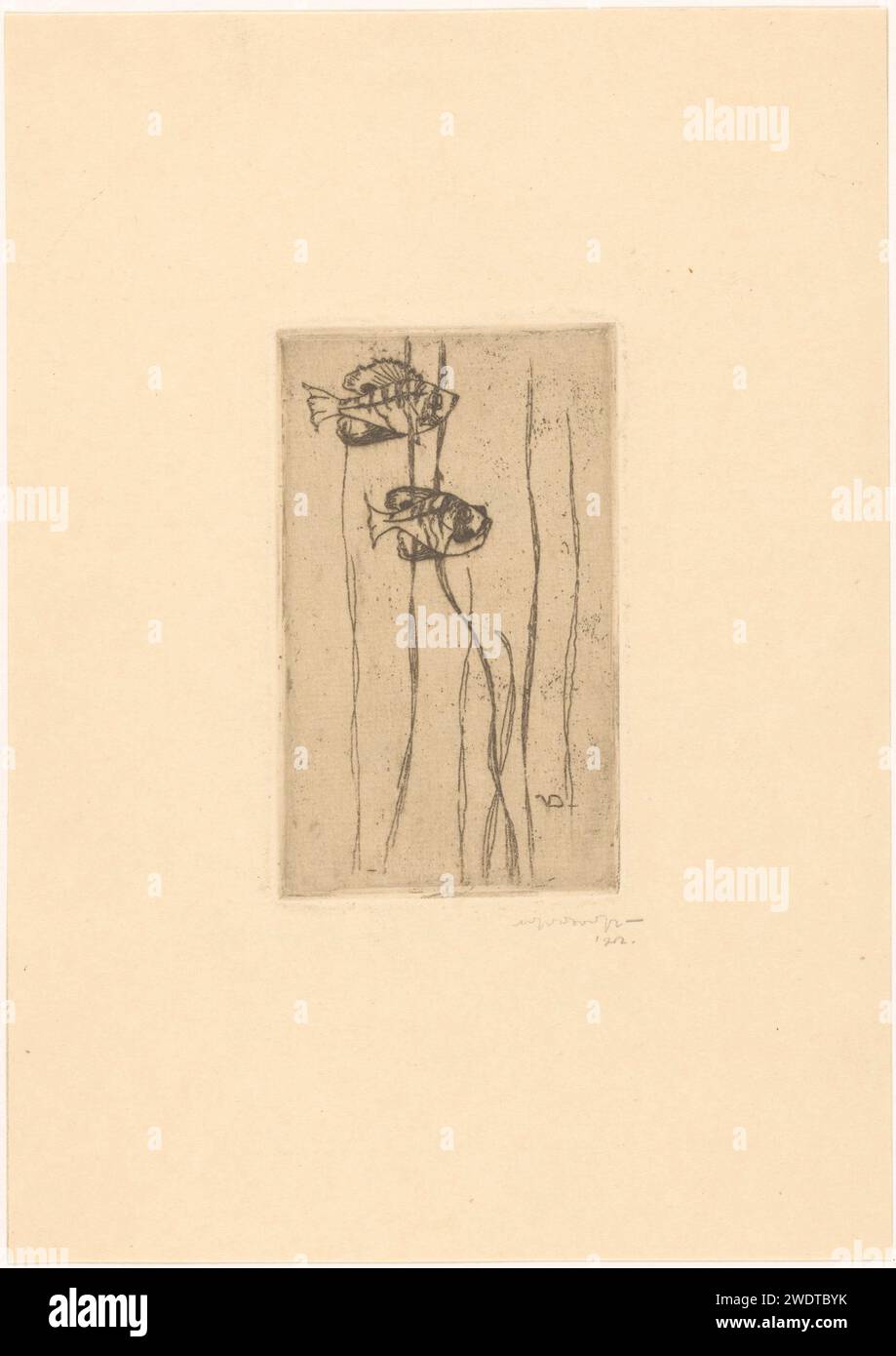 Deux poissons dans un aquarium, Tinus van Doorn, 1912 papier d'impression gravure aquarium Banque D'Images