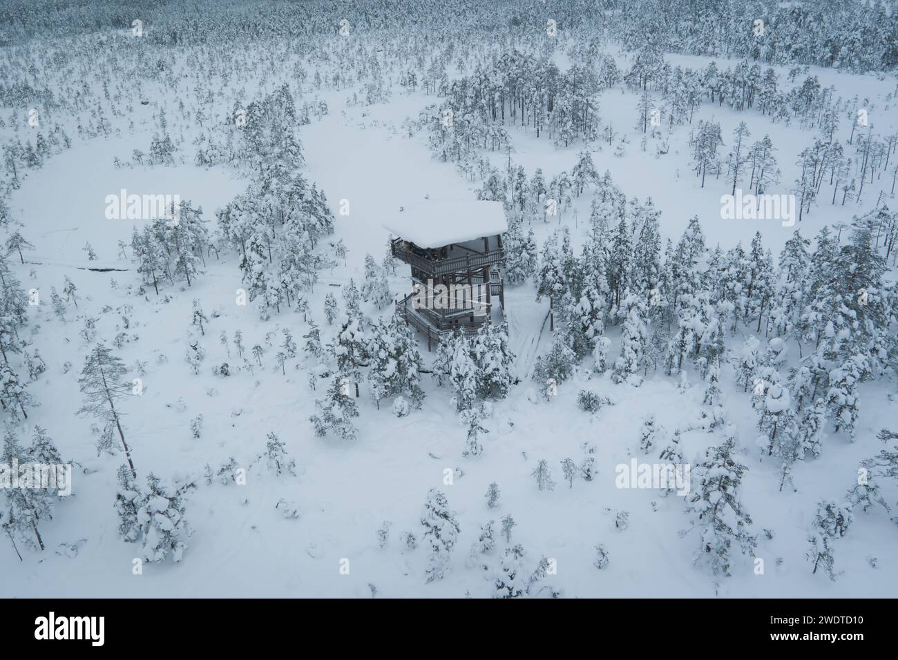 Scène de nature hivernale de l'Estonie. Tour d'observation sur le célèbre Viru raba en journée d'hiver. Photographie par drone. Banque D'Images