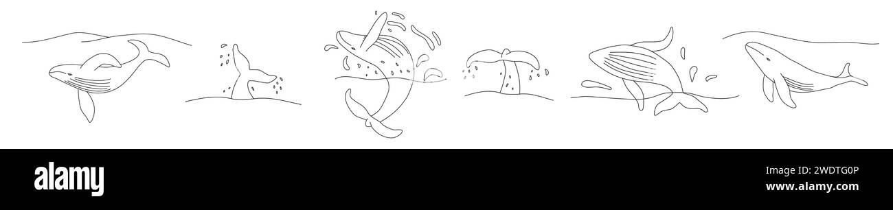 Ensemble avec des baleines, illustration vectorielle plate de style doodle pour livre de coloriage pour enfants Illustration de Vecteur