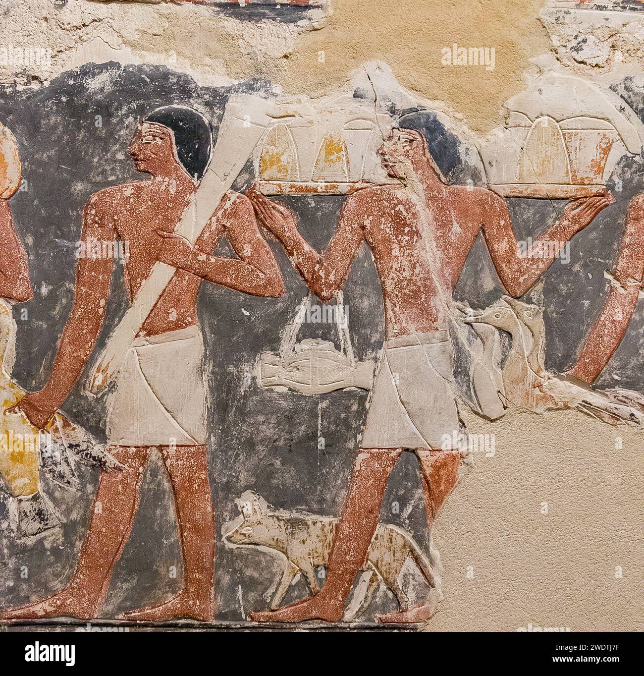 Egypte, Saqqara, tombeau de Mehu, détail de l'offre de cortège de soutiens : Hyène en laisse. Banque D'Images