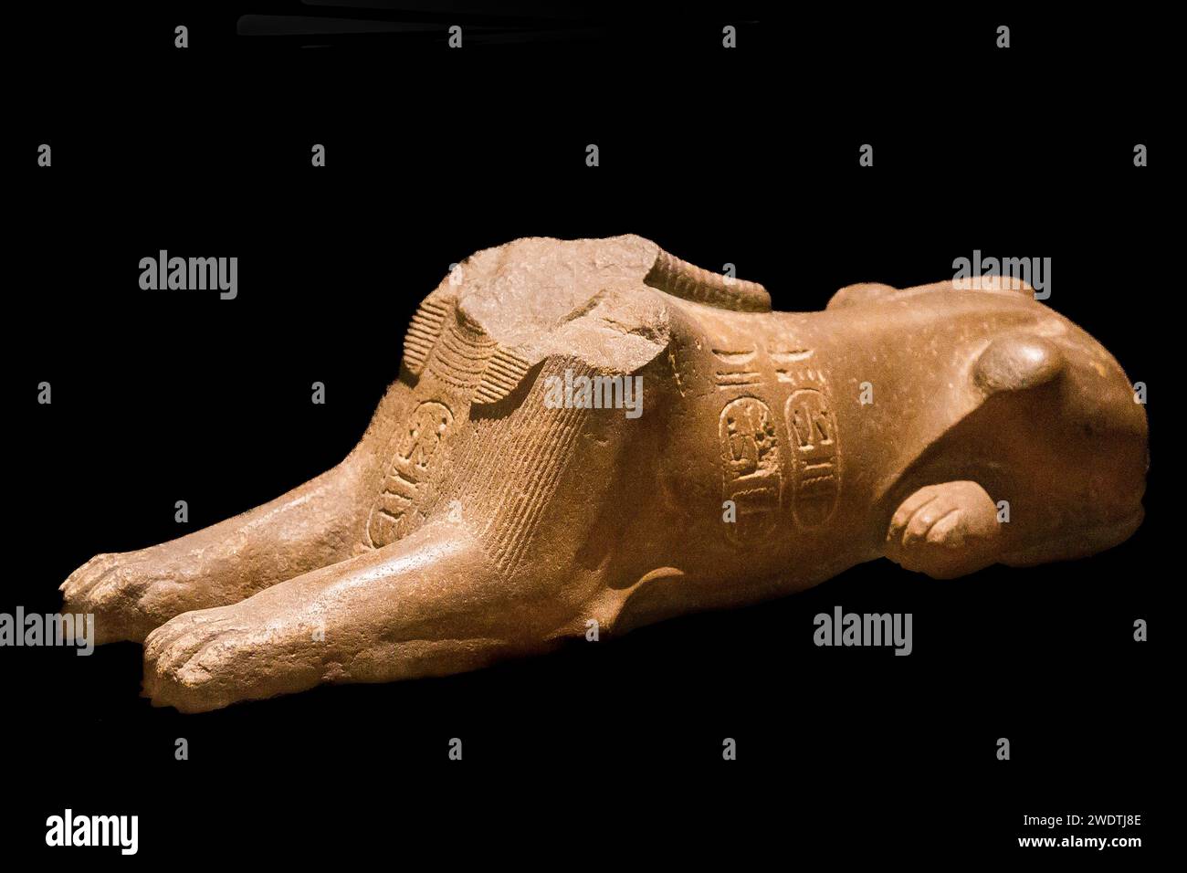 Egypte, Saqqara, sphinx de Ramsès II, trouvé dans le Sérapéum. Banque D'Images