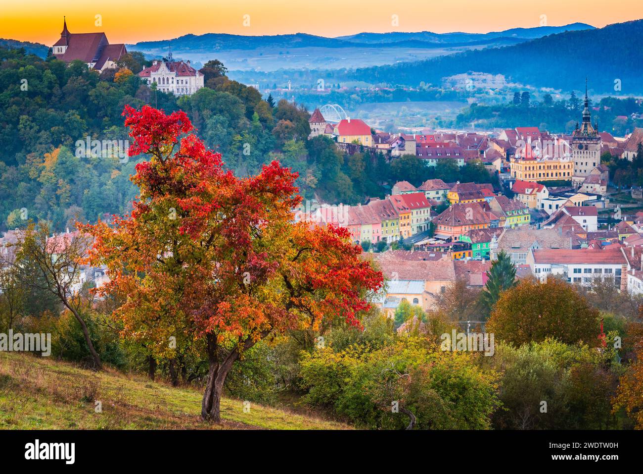 Sighisoara, Roumanie. Paysage de coucher de soleil d'automne avec ville historique de Transylvanie, Europe de l'est lieu à visiter. Banque D'Images