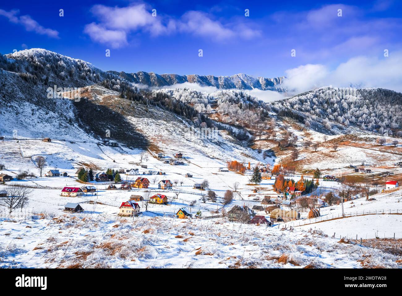 Carpates, Roumanie. Paysage enneigé d'hiver avec le village de Sirnea et les montagnes de Piatra Craiului. Banque D'Images