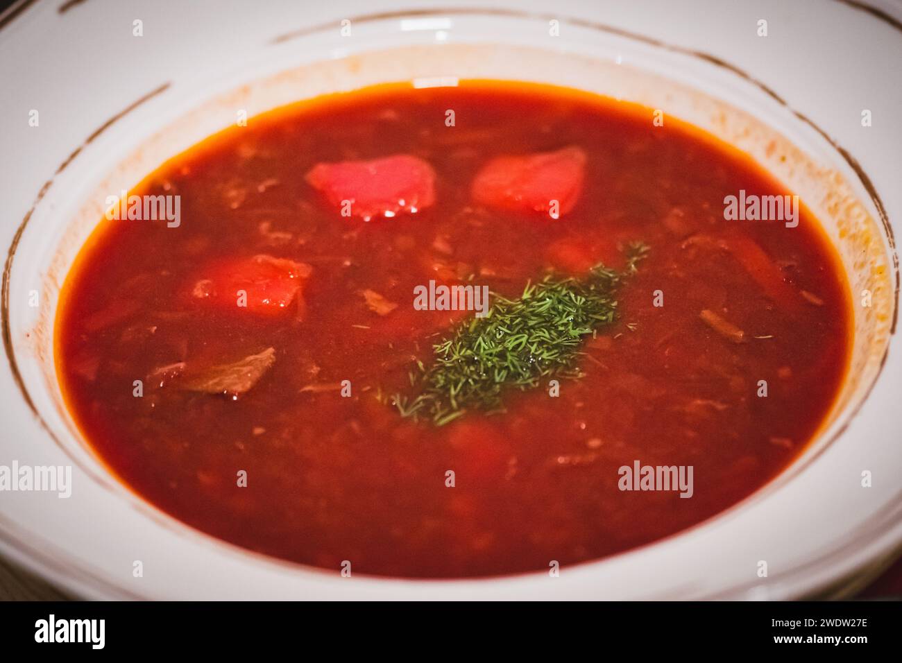 Le Borscht ukrainien est une soupe aigre, faite avec du bouillon de viande, des légumes et des assaisonnements, commune en Europe de l'est et en Asie du Nord, en gros plan Banque D'Images