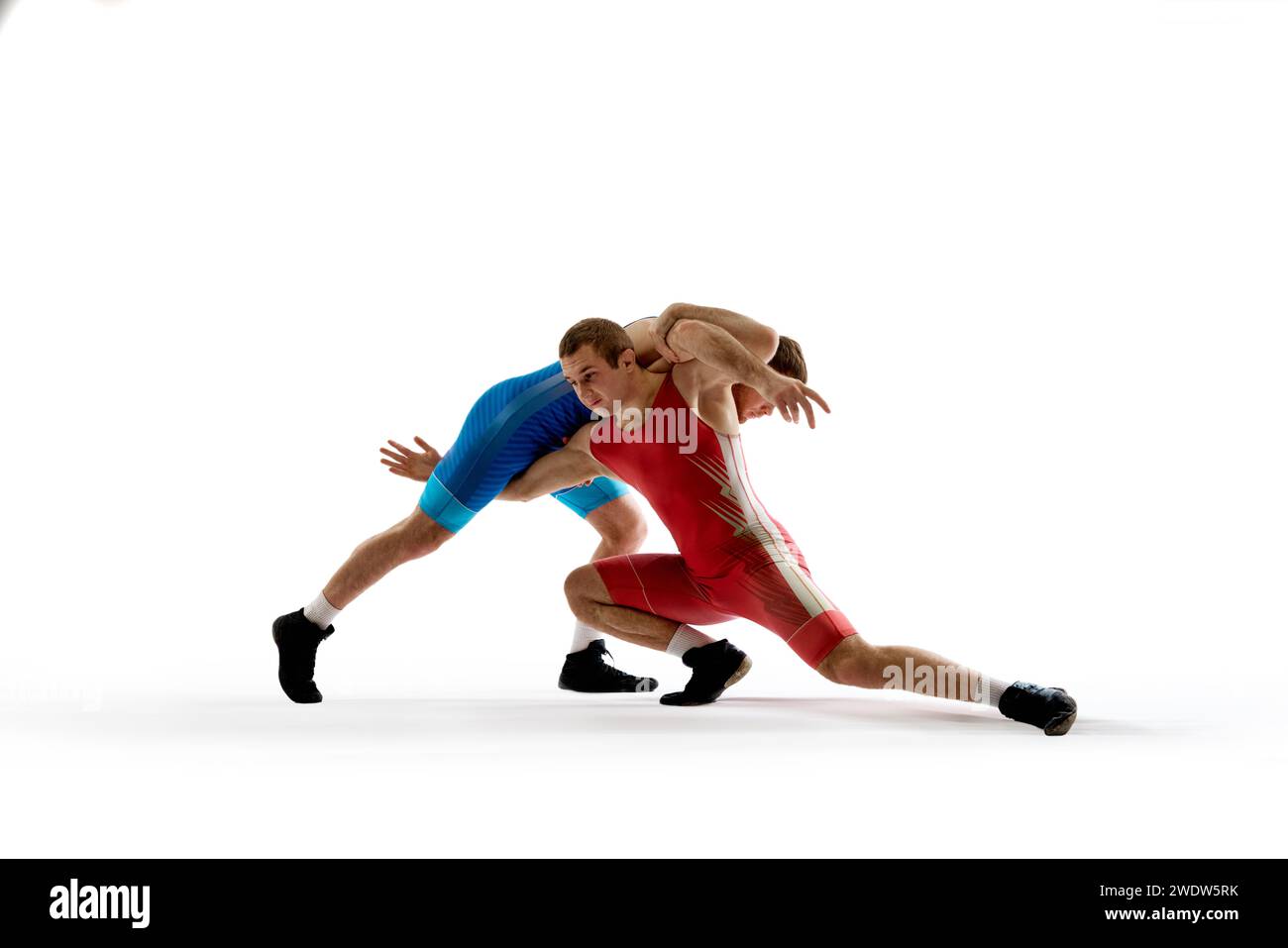 Deux lutteurs forts et qualifiés en bleu et rouge luttant uniforme et faisant grappin sur fond de studio blanc. Banque D'Images