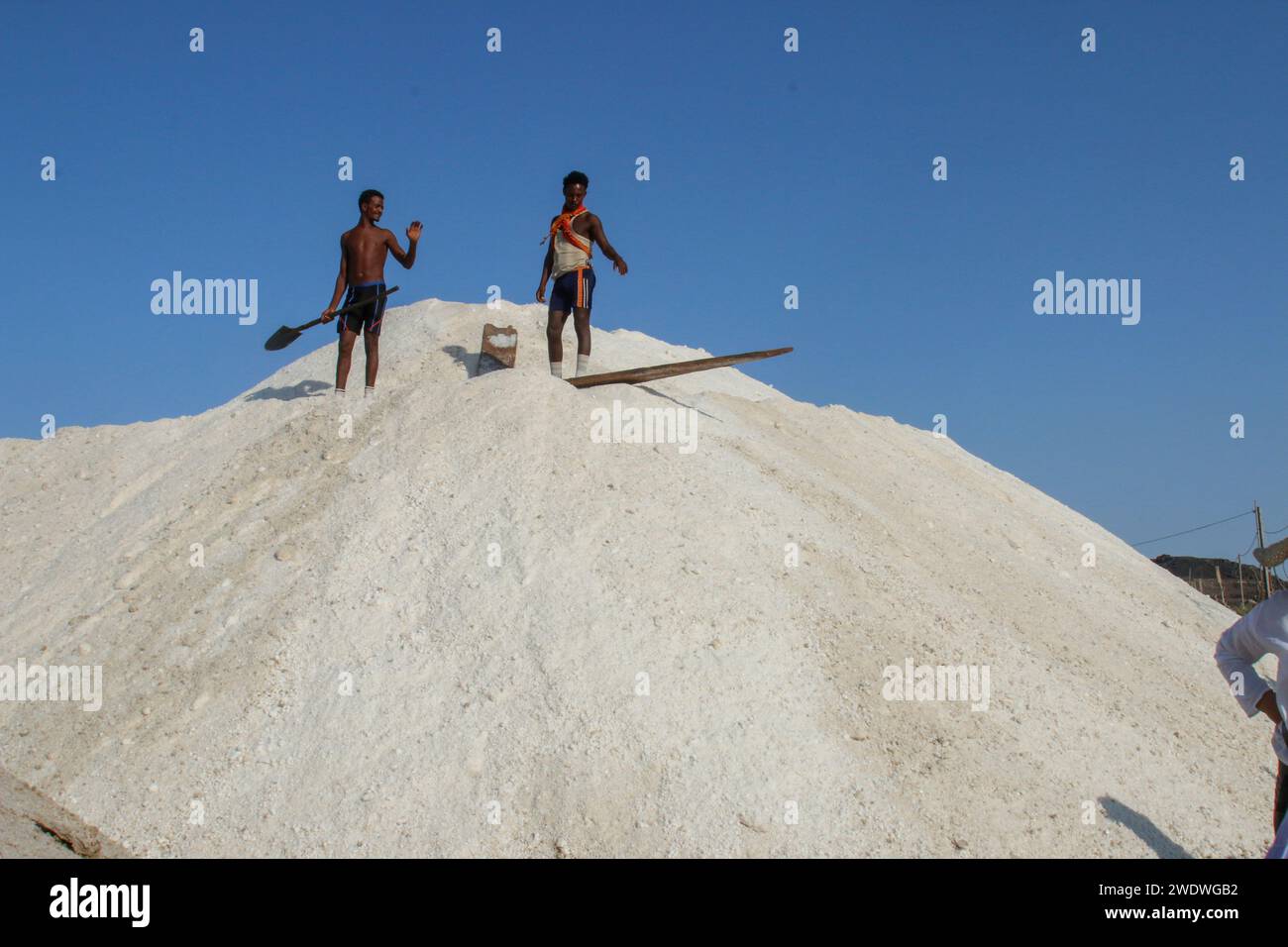 Hommes AFAR mines de sel dans le désert de Danakil le désert de Danakil (ou désert d'Afar) est un désert situé dans le nord-est de l'Éthiopie, le sud de l'Érythrée et le nord-ouest de D. Banque D'Images