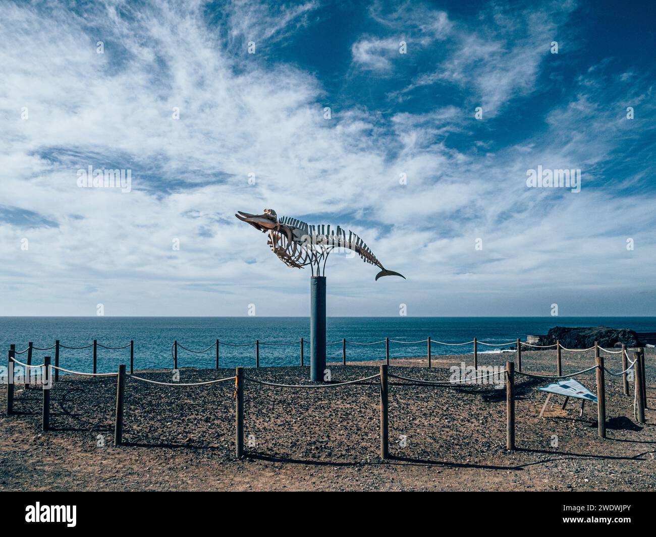 Sculpture d'un squelette de baleine avec des informations éducatives dans le village d'El Cotillo avec point de vue sur la côte de Fuerteventura et l'ATL Banque D'Images