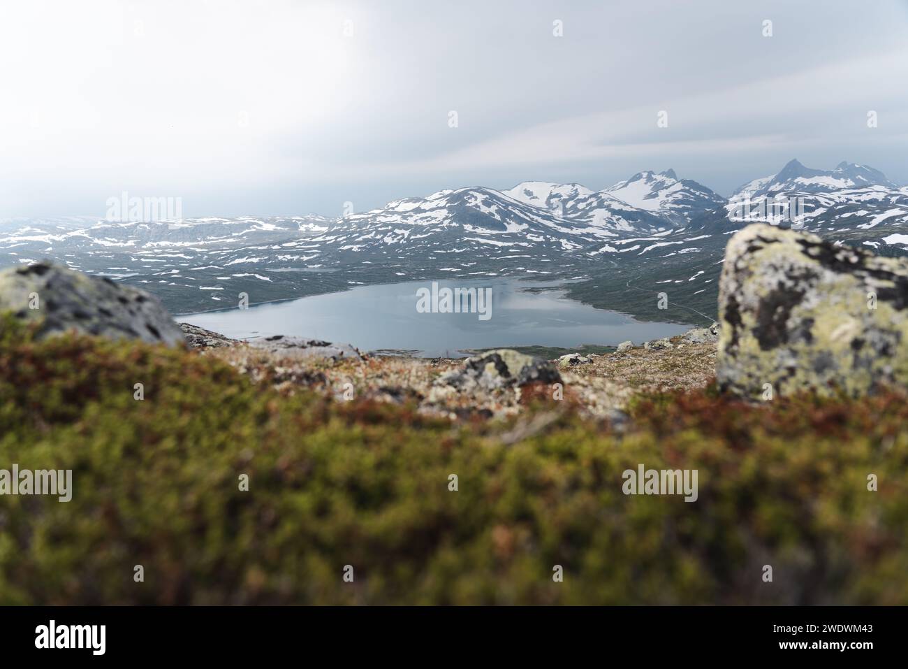 Randonnée dans le parc national de Jotunheimen, Norvège Banque D'Images