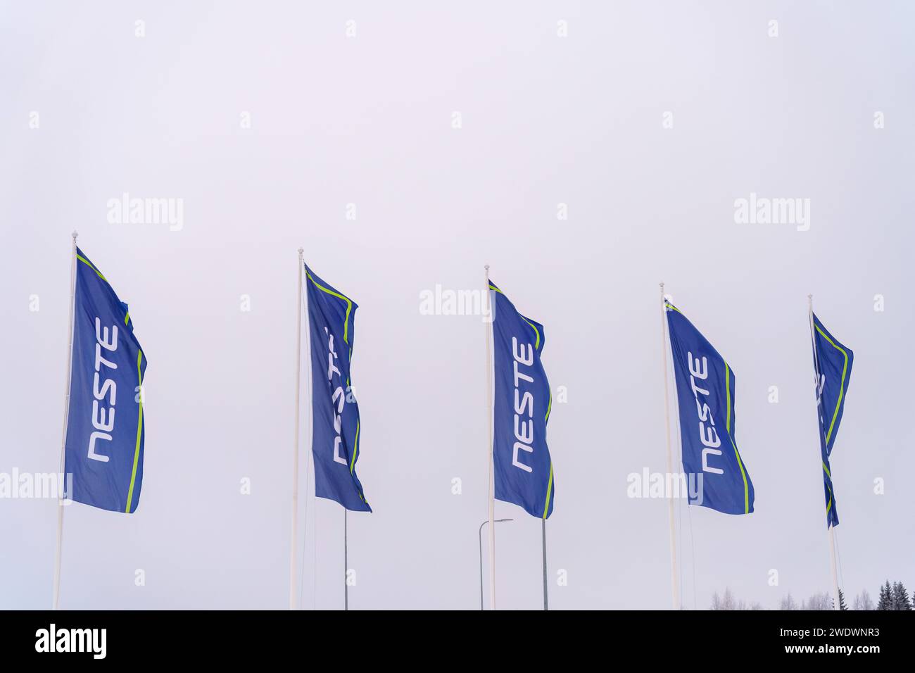 Rangée de drapeaux de la Neste bleue flottant contre un ciel nuageux. Hollola, Finlande. 13 janvier 2024 Banque D'Images