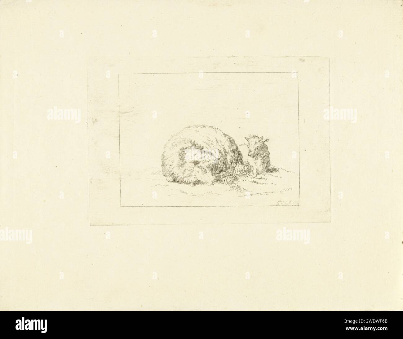 Moutons endormis, G. van Citters, c. 1750 - c. 1800 imprimer papier néerlandais gravure de moutons Banque D'Images