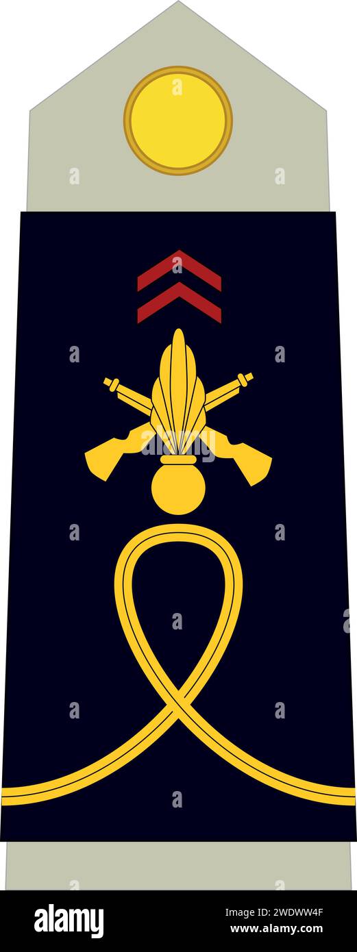 Épaulière insigne d'officier militaire de la France ÉLÈVE-OFFICIER (OFFICIER CADET) Illustration de Vecteur